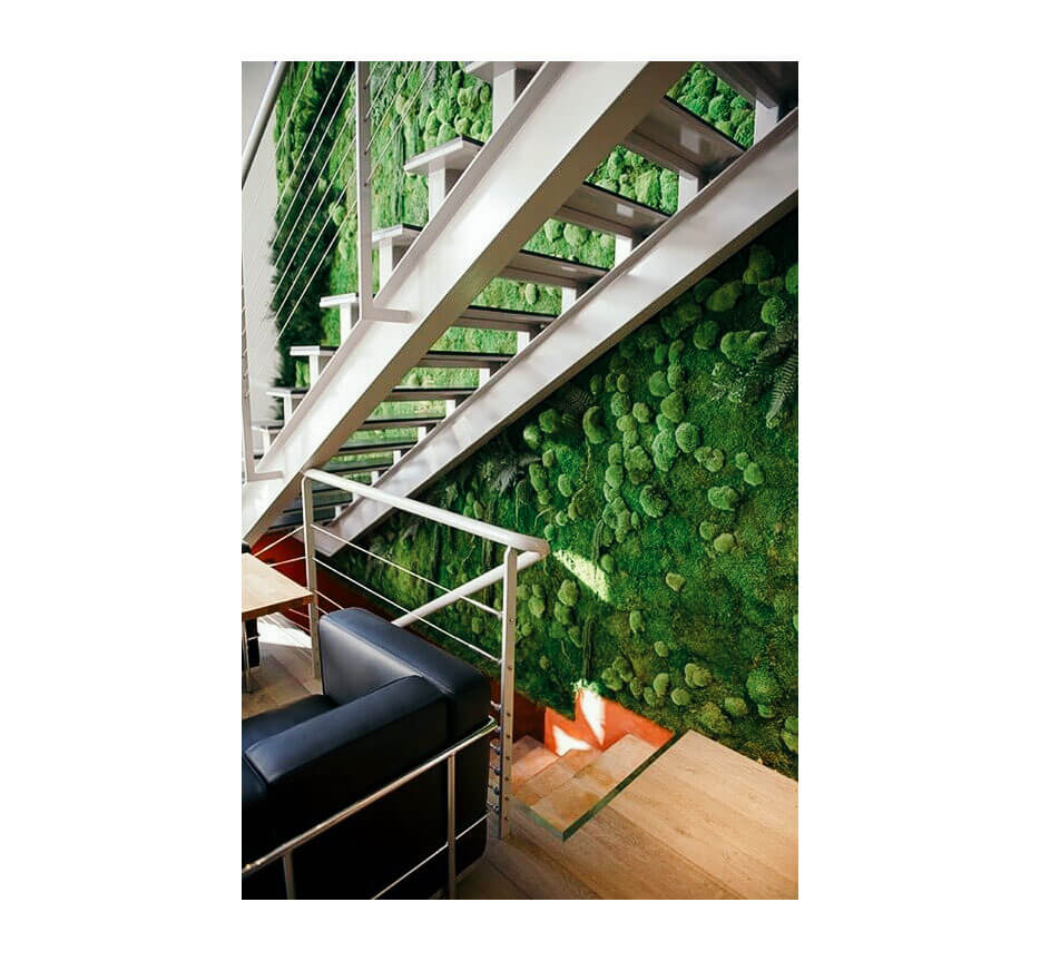 FlowerBox Wall Gardens plant preserver