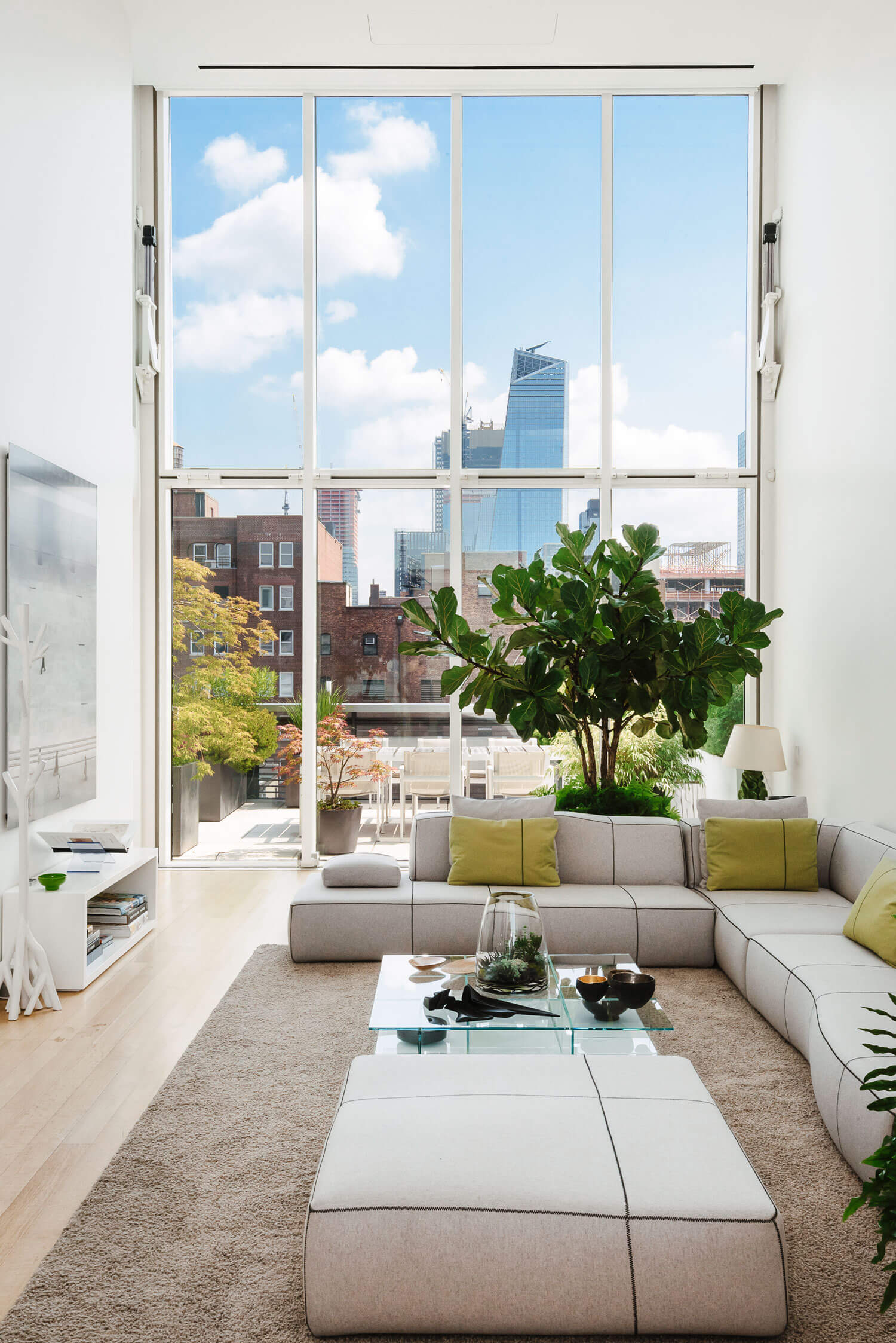 biophilia in the home