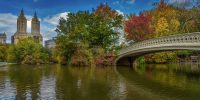 Bridge at Central Park looking towards San Remo