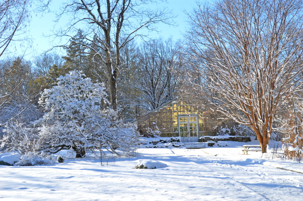 Bartlett Arboretum in Standford, CT