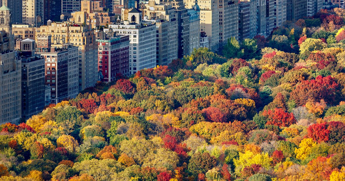 NYC Residential Rental Market Report October 2022 Inhabit