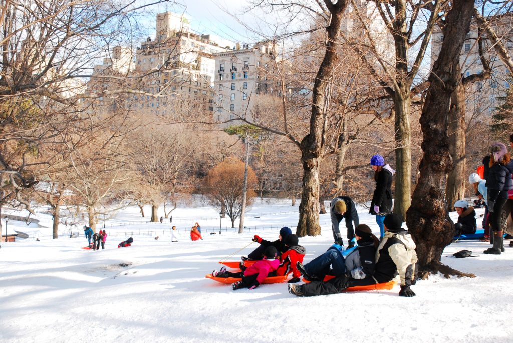 New Yorkers go sledding down a slight incline in Central Park.