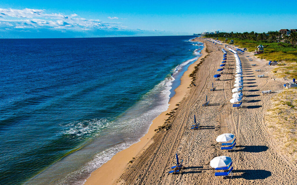 palmbeach
