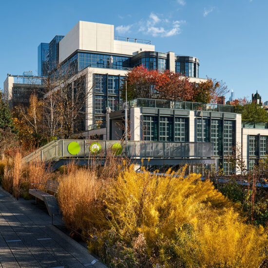 Modern apartment buildings and landscaping on NYC's High Line.