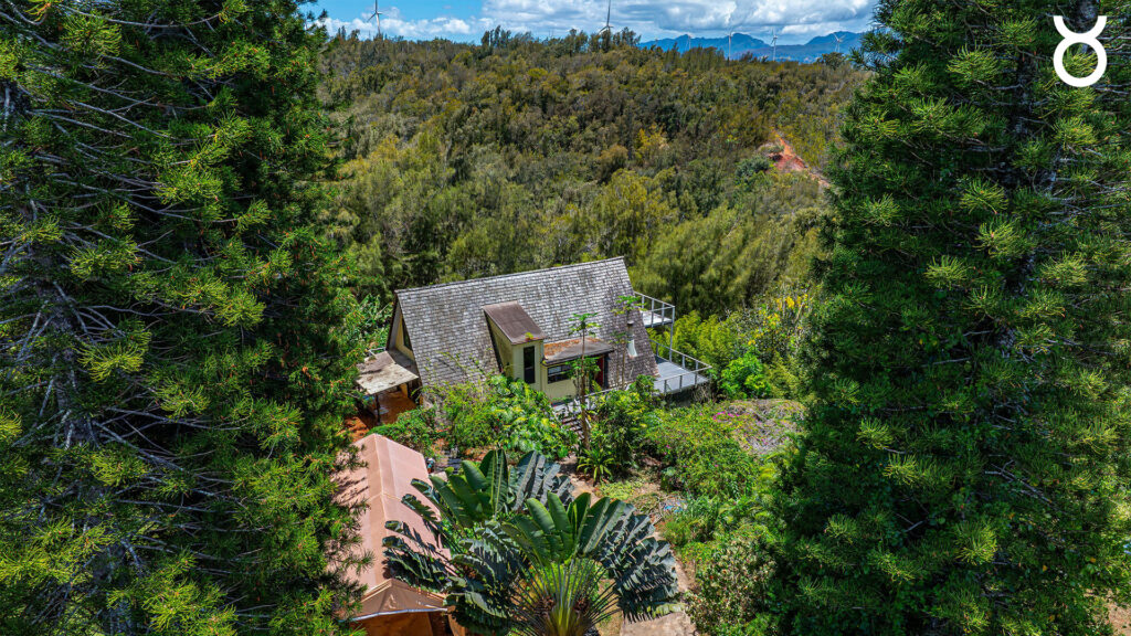 House surrounded by dense greenery set against a forested backdrop with distant wind turbines under a partly cloudy sky.