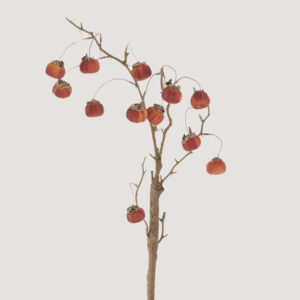 A bare, thin tree branch with several small, round, orange-red persimmons hanging from it evokes the timeless beauty often found on cookbook covers, set against a plain, light background.