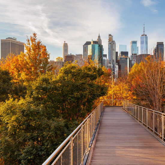 A wooden pedestrian bridge surrounded by autumn trees leads toward a city skyline with tall skyscrapers, hinting at the vibrant world of Manhattan luxury sales under a clear blue sky.