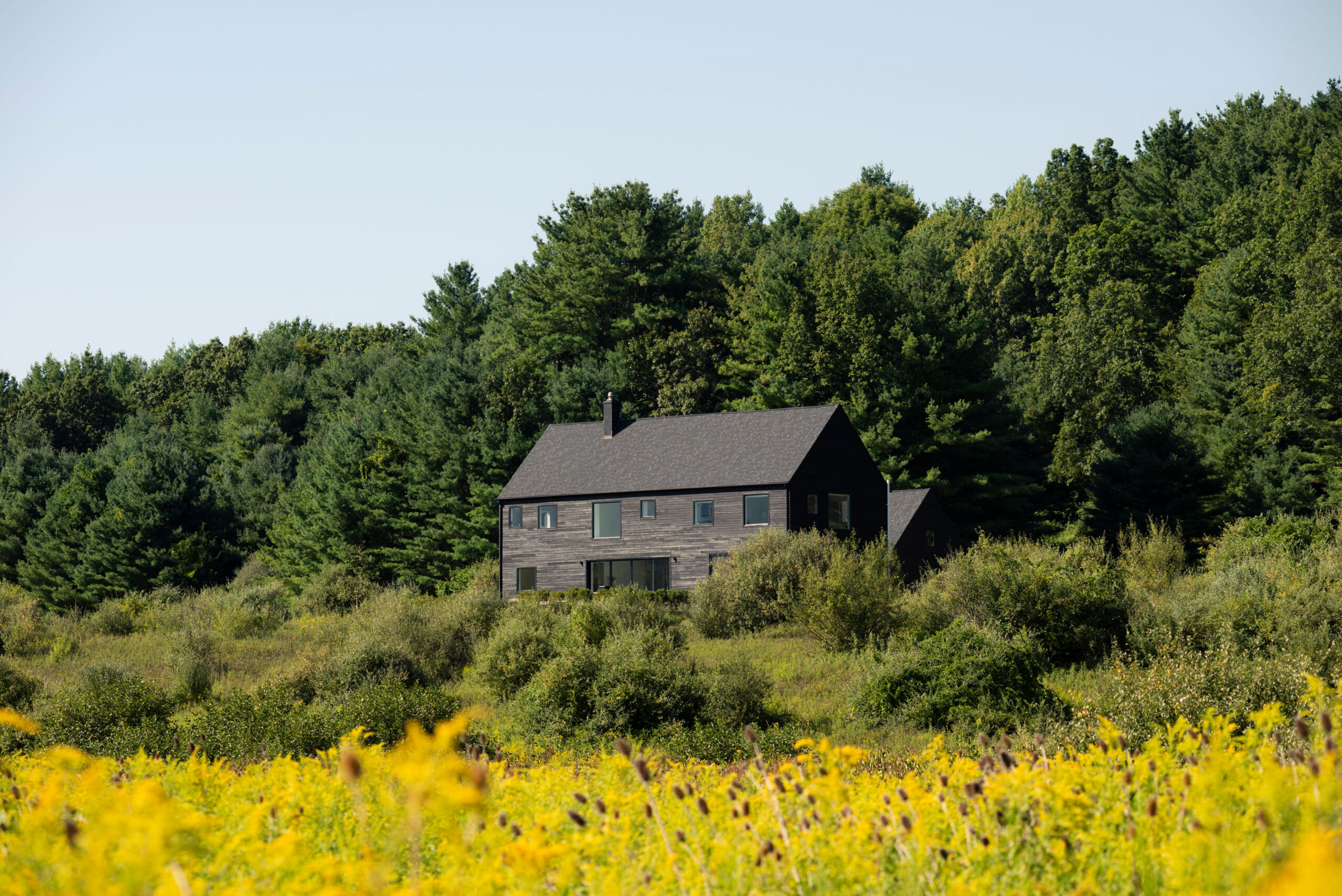 A dark modern house with a sloped roof sits surrounded by green trees and bushes, with a field of yellow wildflowers in the foreground under a clear blue sky—a serene scene reminiscent of an a-list: november 2025 retreat.