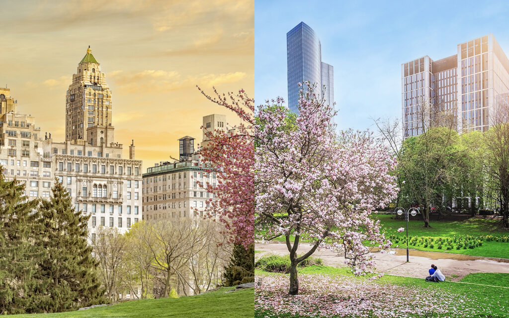 A split image shows city buildings and blossoming trees in Central Park at sunset on the left, and modern skyscrapers with blooming magnolia trees and people relaxing on green grass on the right.