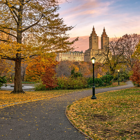 A paved path winds through Central Park in autumn, surrounded by colorful trees with yellow and orange leaves. A lamppost is lit as Manhattan luxury sales rise, with tall buildings soaring in the background under a partly cloudy sky.