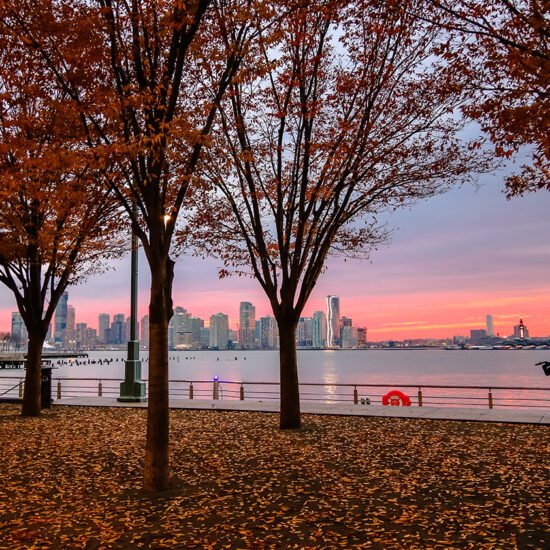 Trees with autumn leaves frame a riverfront park at sunset. The ground is covered in fallen leaves, and an NYC residential rental skyline rises across the water under a colorful sky.