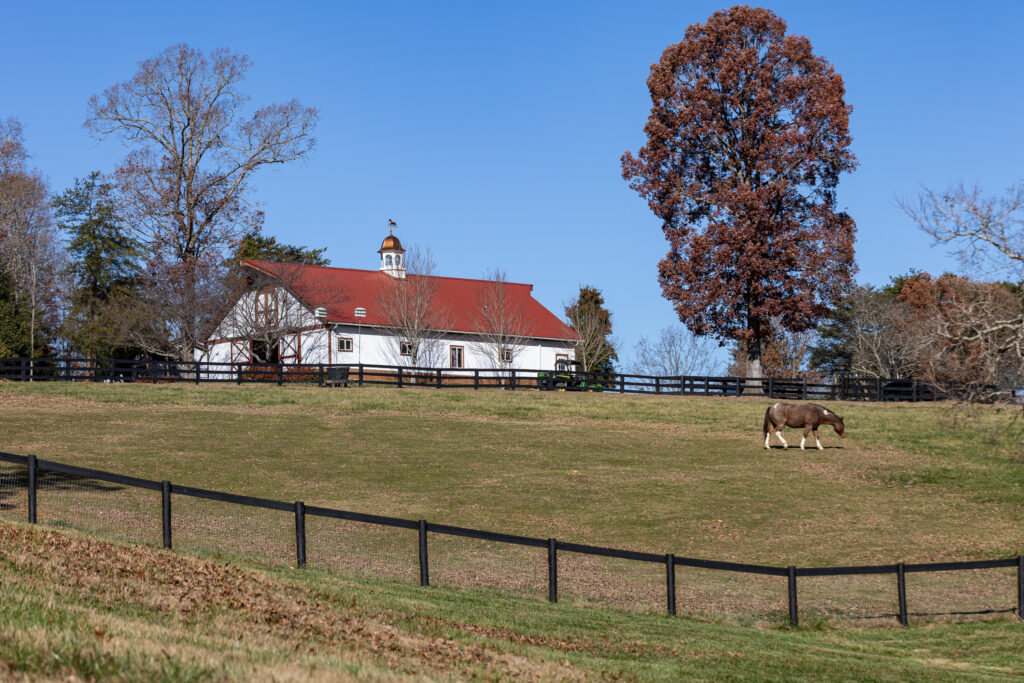 A brown and white horse grazes on a grassy hill enclosed by a black wooden fence, part of picturesque equestrian estates, with a white barn featuring a red roof and cupola in the background beneath tall trees and a clear blue sky.