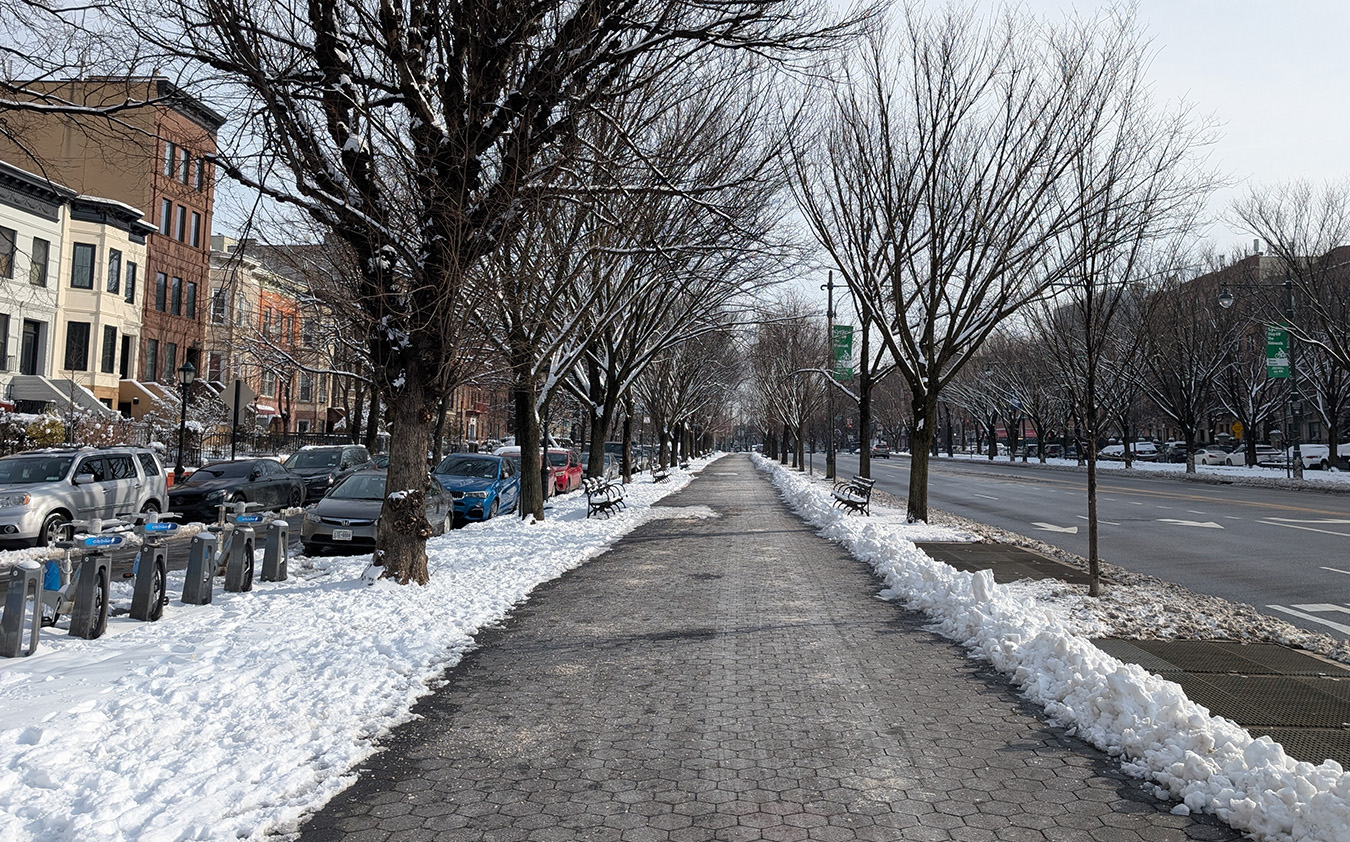 A snow-lined pedestrian path stretches between bare trees, with parked cars and Brooklyn condo buildings on the left and a cleared road on the right. Benches line the walkway, and traces of snow remain on the ground and branches.