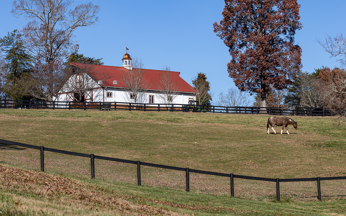 A brown and white horse grazes in a grassy fenced pasture on one of the picturesque equestrian estates, with a white barn featuring a red roof and cupola in the background, surrounded by trees under a clear blue sky.