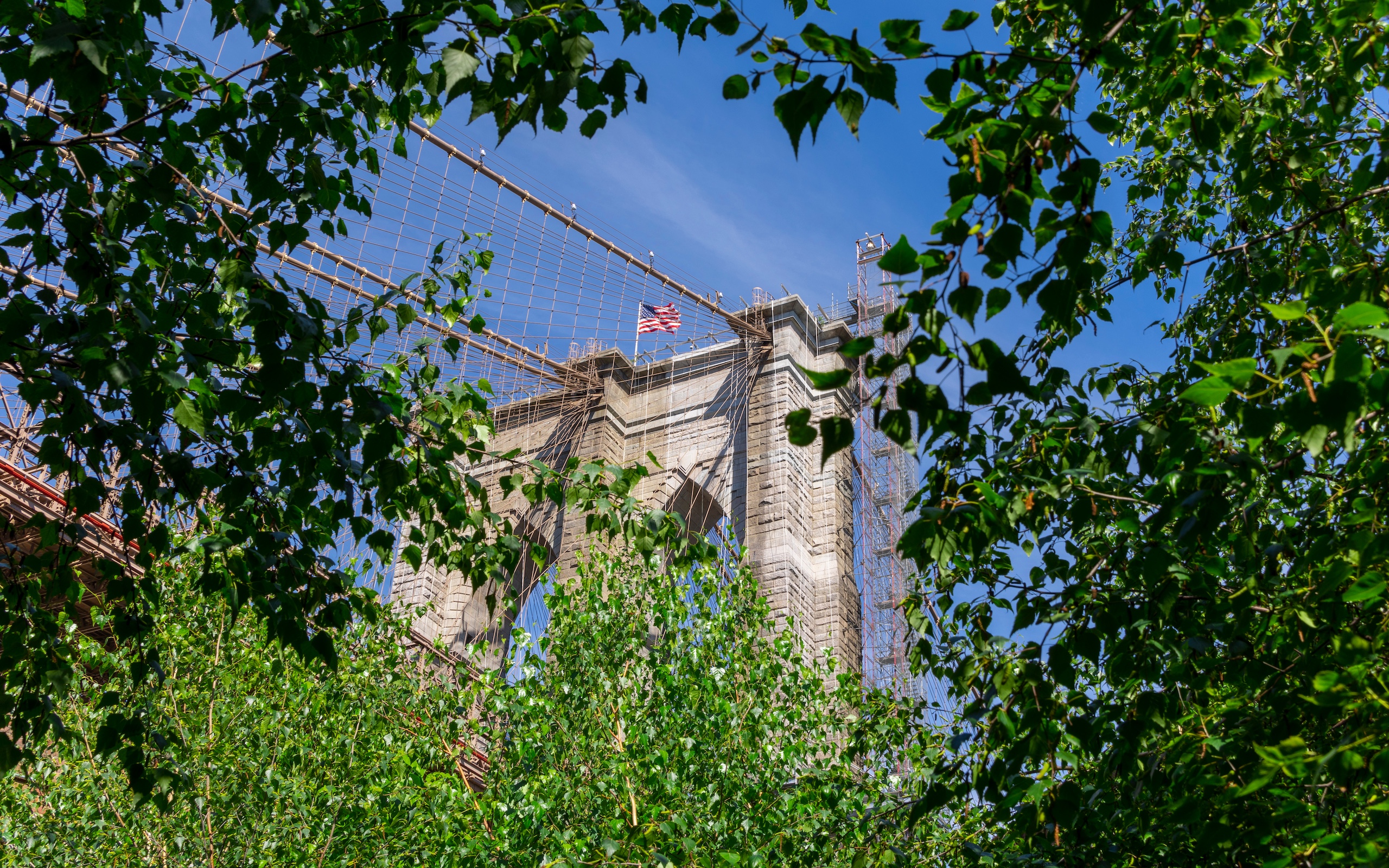 The Brooklyn Bridge tower and an American flag are seen through green leafy branches against a bright blue sky, offering a picturesque view often enjoyed from a nearby Brooklyn condo.