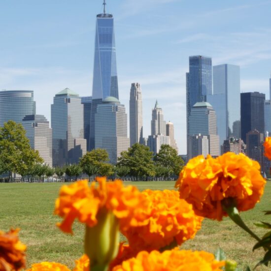 Bright orange marigold flowers in the foreground, with a grassy field and the New York City skyline—including iconic Manhattan condo towers and One World Trade Center—in the background under a clear blue sky.
