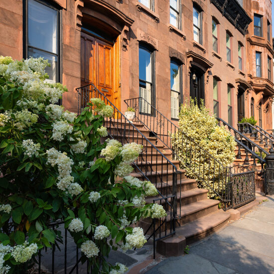 A row of classic brownstone townhouses, evoking the charm of a Brooklyn condo, features ornate railings and stairs, with blooming hydrangea and lush bushes along a sunny, empty sidewalk.