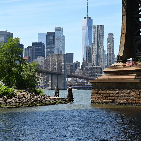 View of the Manhattan skyline with the Brooklyn Bridge and One World Trade Center in the background, seen from the waterfront near the base of the Manhattan Bridge, with trees and greenery in the foreground.