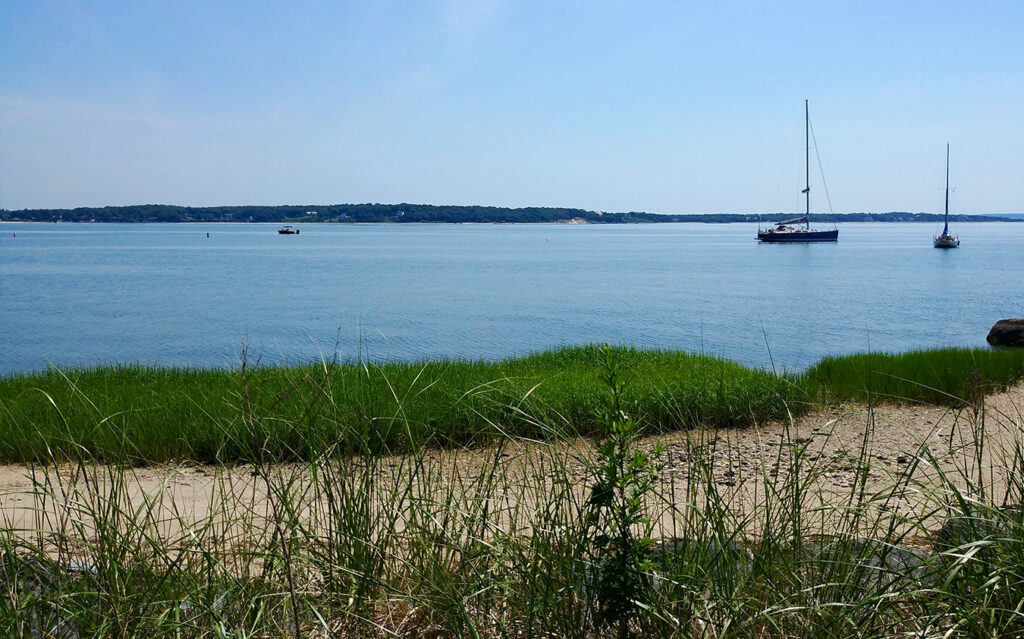 sm_ee A calm bay with two sailboats anchored near the shore, green grass and sand in the foreground, and a distant tree-lined coastline under a clear blue sky—an idyllic setting that captures the natural charm often found in East End Real Estate.