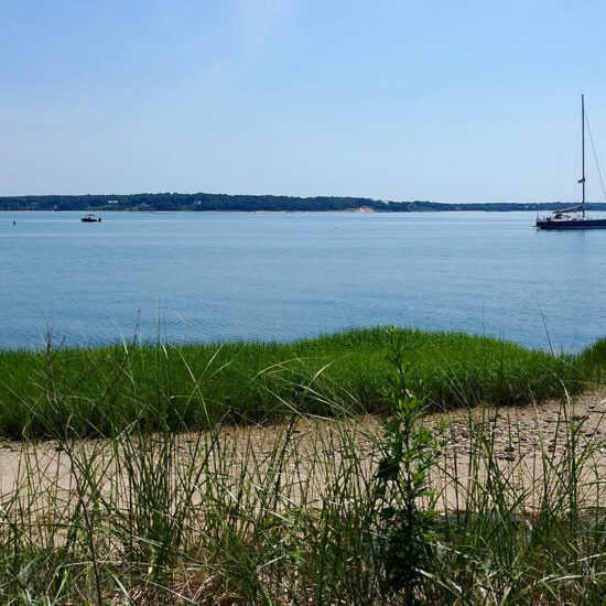A calm bay with two sailboats anchored near the shore, green grass and sand in the foreground, and a distant tree-lined coastline under a clear blue sky—an idyllic setting that captures the natural charm often found in East End Real Estate.