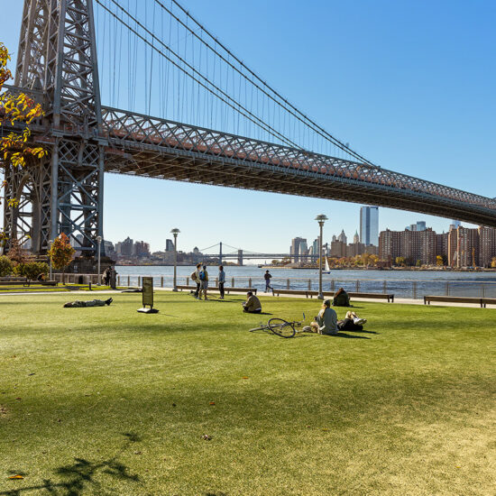 People relax on a grassy park under the Williamsburg Bridge in New York City, with the East River and city skyline—including modern Brooklyn condo buildings—visible in the background on a sunny day.