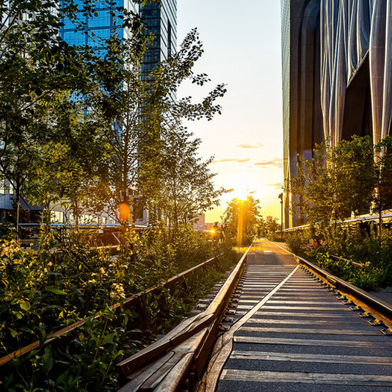 Rail tracks surrounded by plants run between modern glass buildings at sunset, with sunlight streaming through the trees and empty benches on the right, capturing the tranquil ambiance often found near a stylish Manhattan condo.