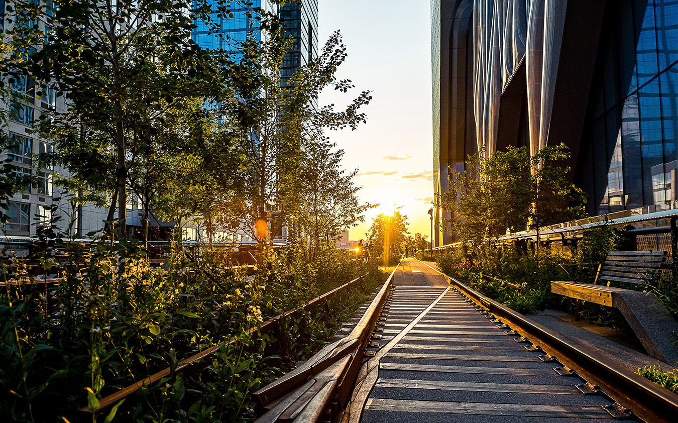 Rail tracks surrounded by plants run between modern glass buildings at sunset, with sunlight streaming through the trees and empty benches on the right, capturing the tranquil ambiance often found near a stylish Manhattan condo.