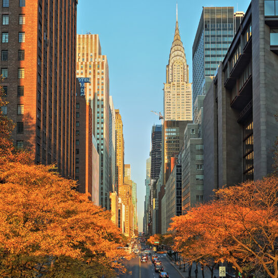 The Chrysler Building towers over a New York City street framed by trees with golden autumn leaves, a classic fixture of the Manhattan real estate market.