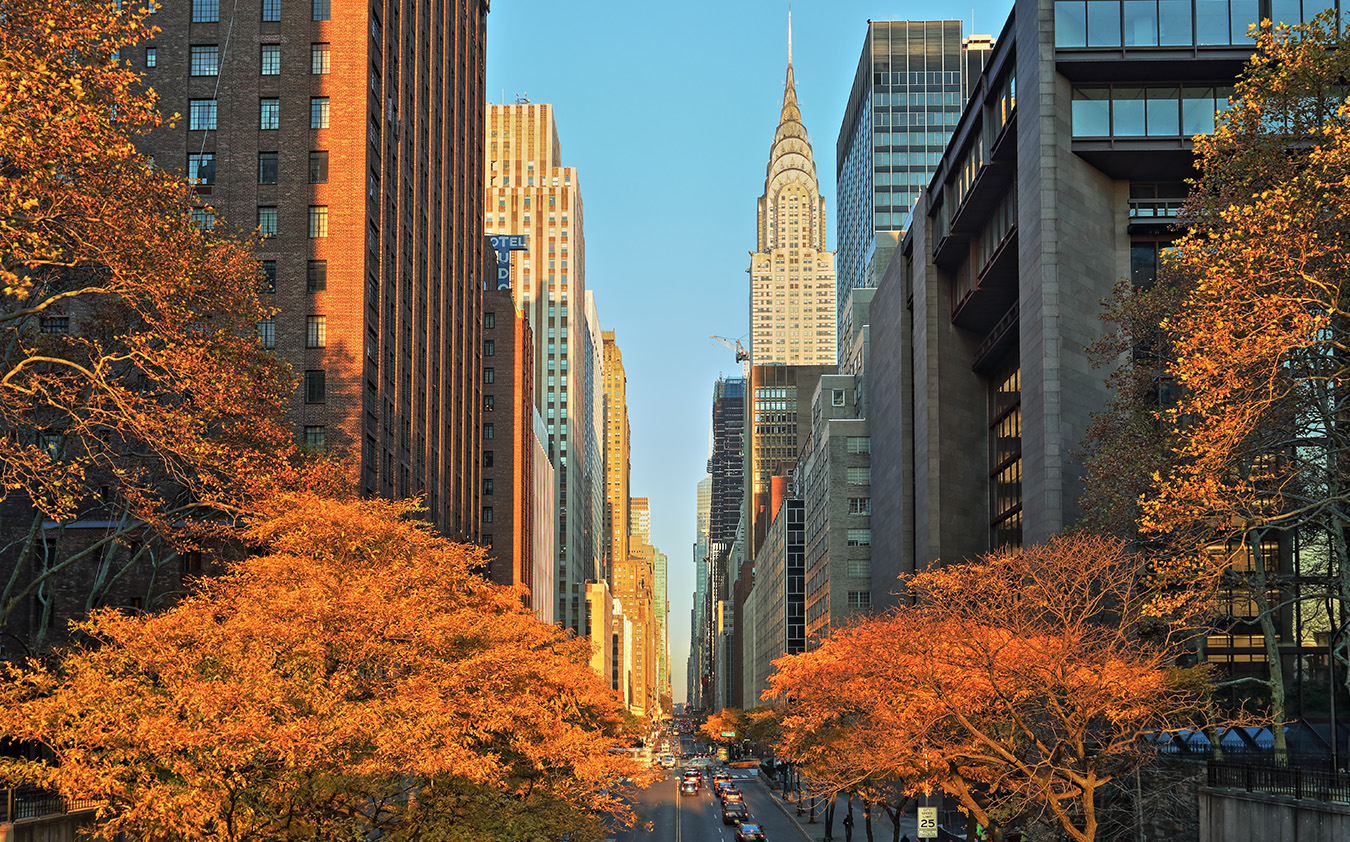 The Chrysler Building towers over a New York City street framed by trees with golden autumn leaves, a classic fixture of the Manhattan real estate market.
