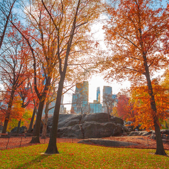 Central Park in autumn with fall foliage, a rocky outcrop, and Manhattan luxury sales office skyscrapers in the background.