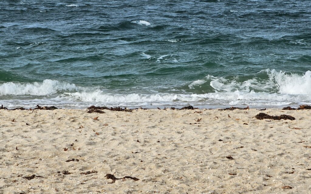 Small waves wash up onto the sandy beach of an East End real estate property, where seaweed is scattered along the shore.