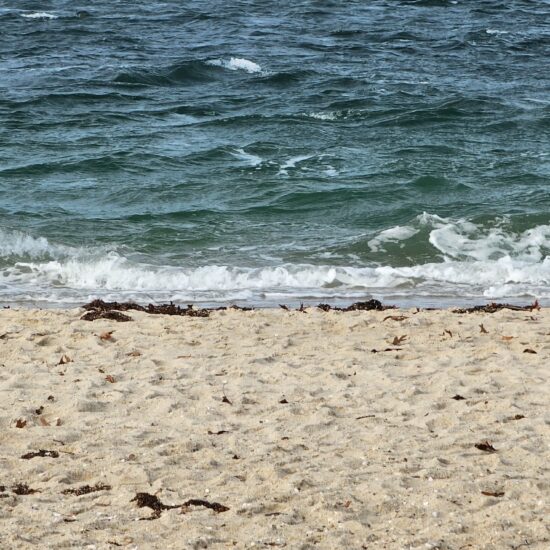 Small waves wash up onto the sandy beach of an East End real estate property, where seaweed is scattered along the shore.