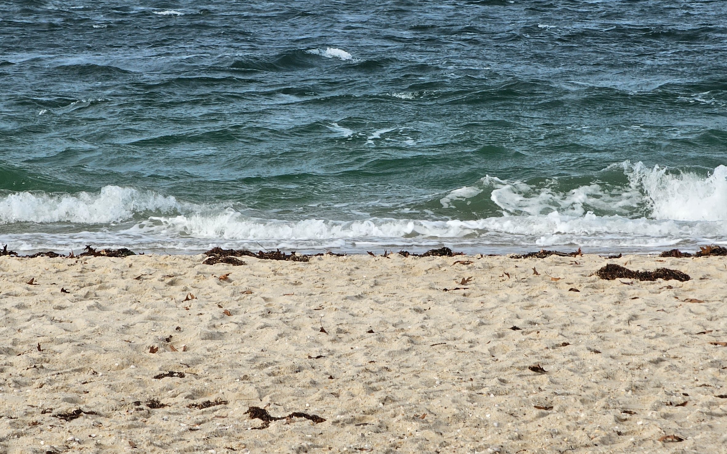 Small waves wash up onto the sandy beach of an East End real estate property, where seaweed is scattered along the shore.